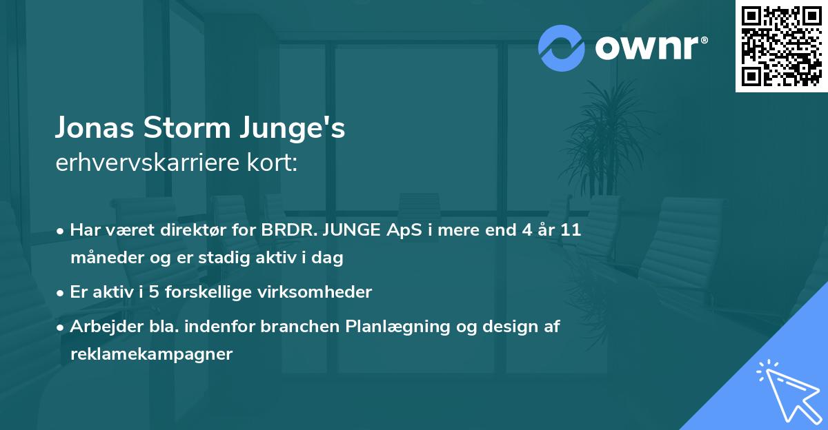 Jonas Storm Junge's erhvervskarriere kort