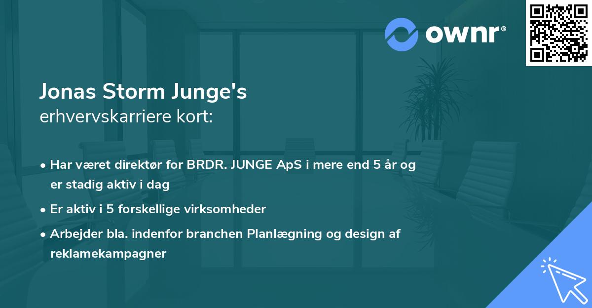 Jonas Storm Junge's erhvervskarriere kort