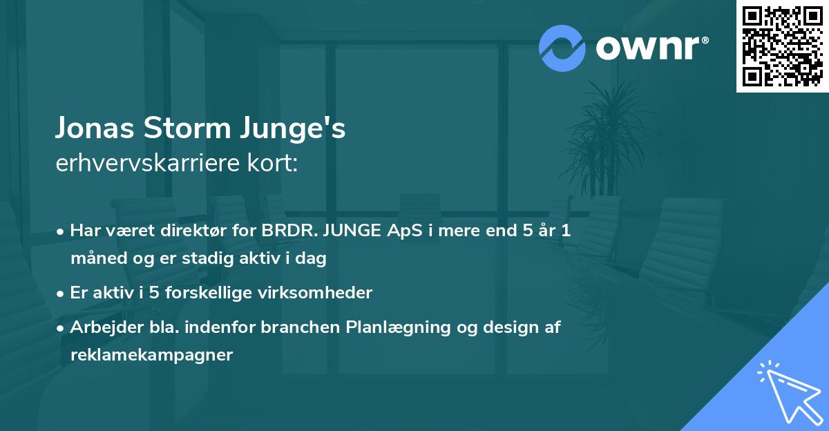 Jonas Storm Junge's erhvervskarriere kort