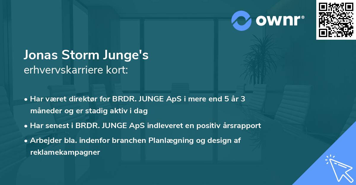 Jonas Storm Junge's erhvervskarriere kort