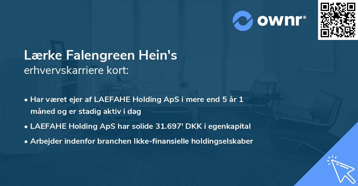 Lærke Falengreen Hein's erhvervskarriere kort