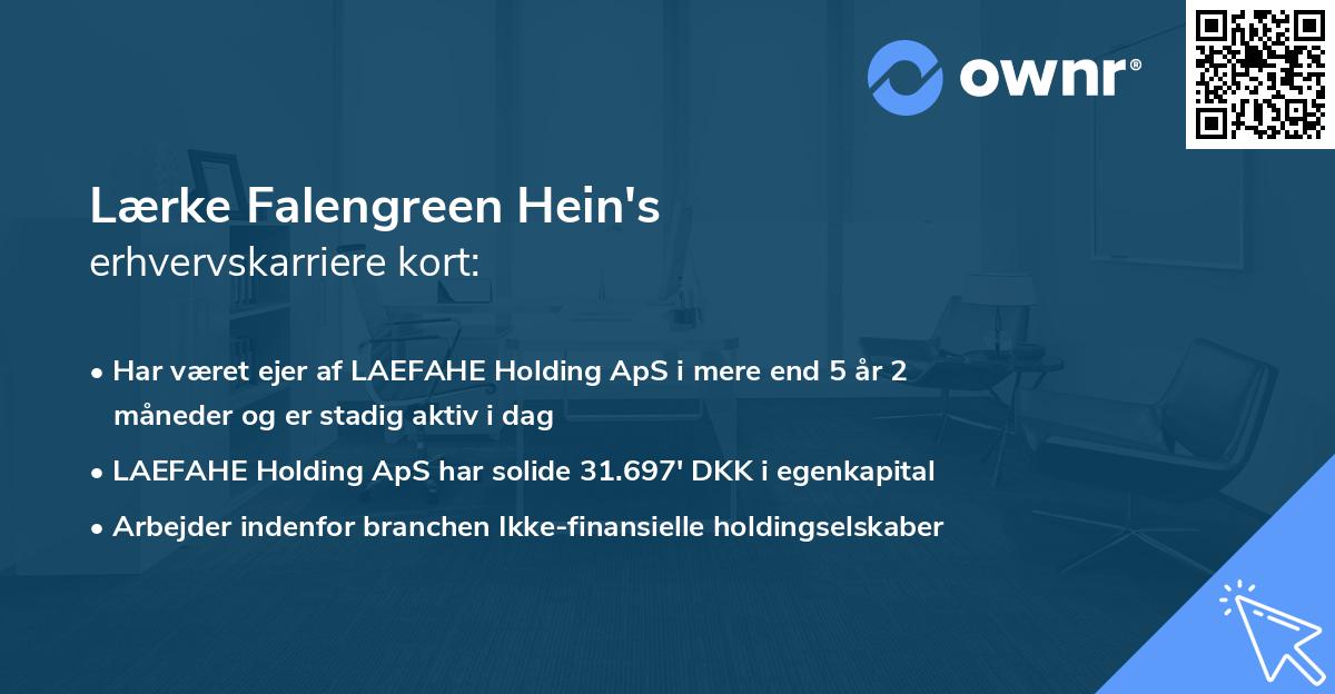 Lærke Falengreen Hein's erhvervskarriere kort