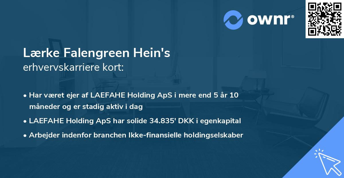Lærke Falengreen Hein's erhvervskarriere kort