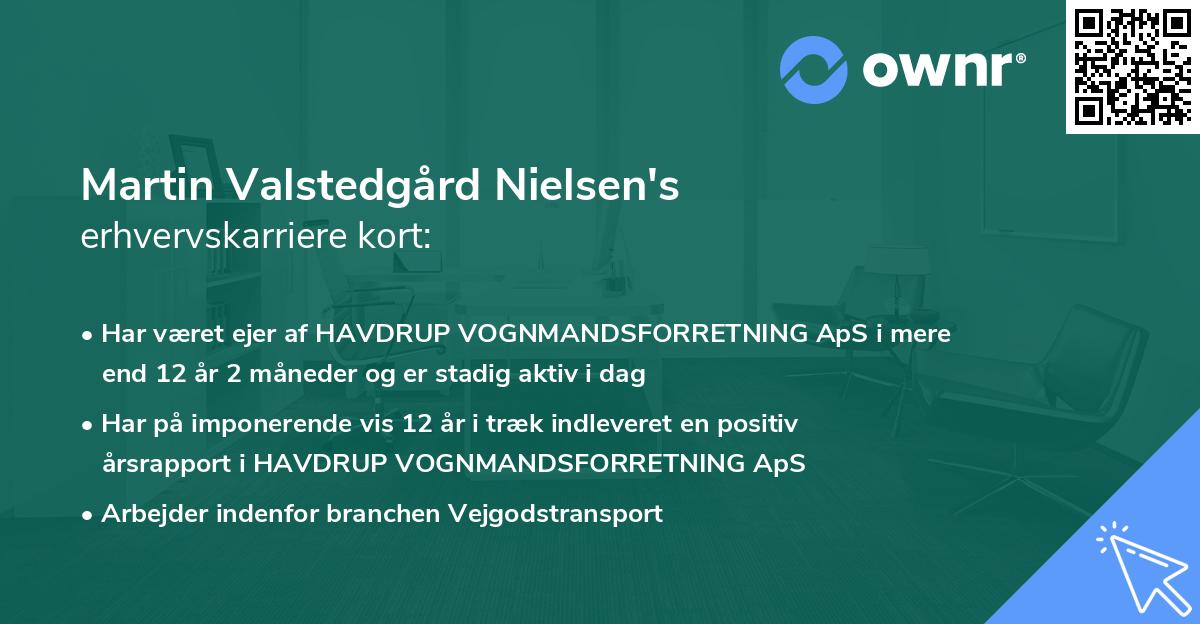 Martin Valstedgård Nielsen's erhvervskarriere kort