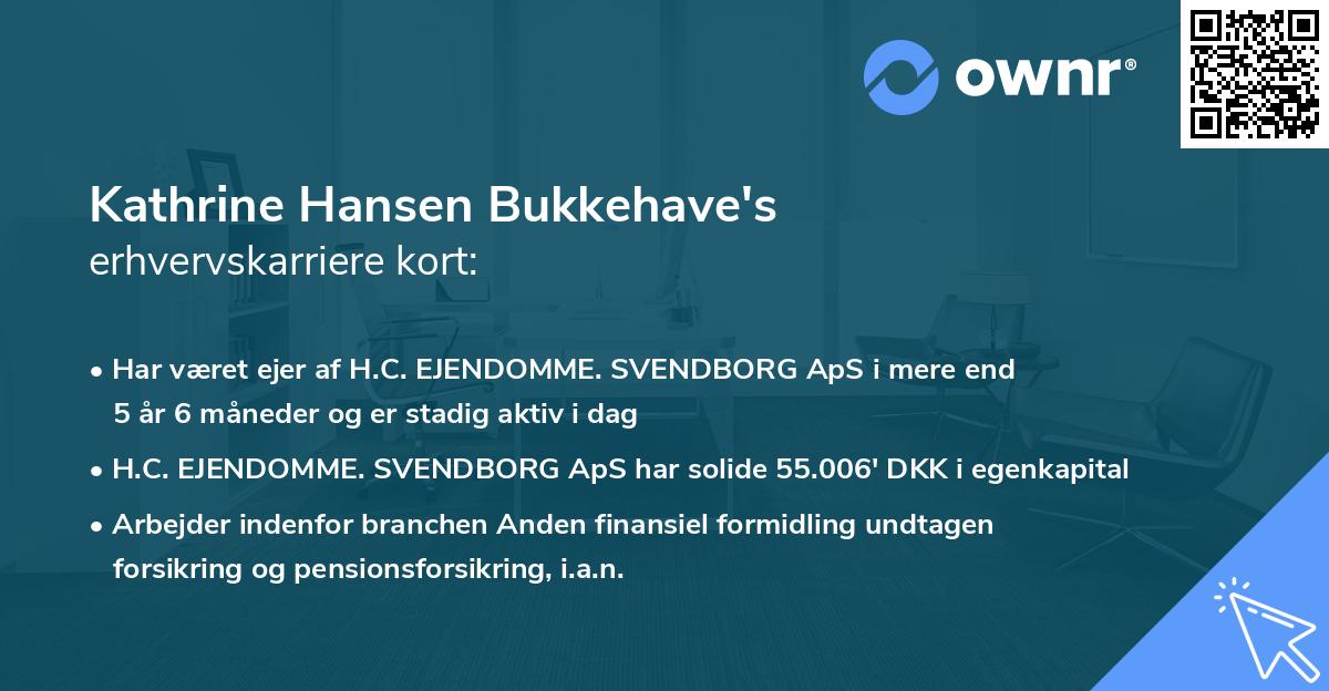 Kathrine Hansen Bukkehave's erhvervskarriere kort