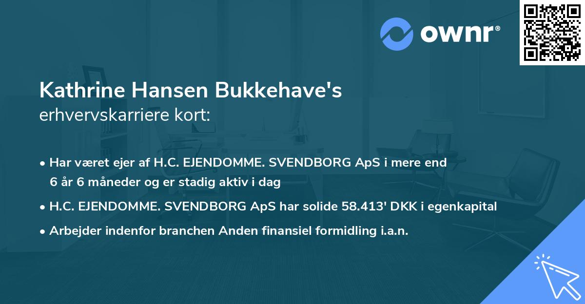 Kathrine Hansen Bukkehave's erhvervskarriere kort