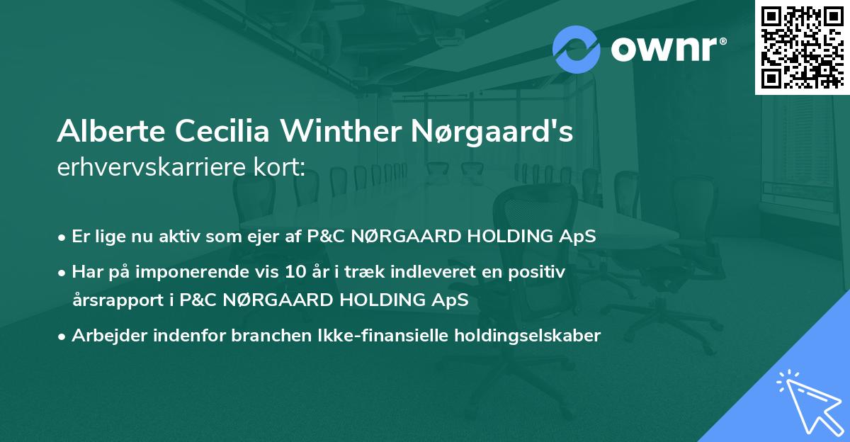 Alberte Cecilia Winther Nørgaard's erhvervskarriere kort