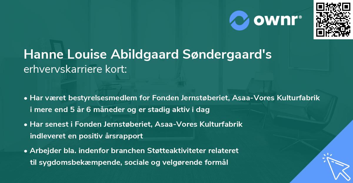 Hanne Louise Abildgaard Søndergaard's erhvervskarriere kort