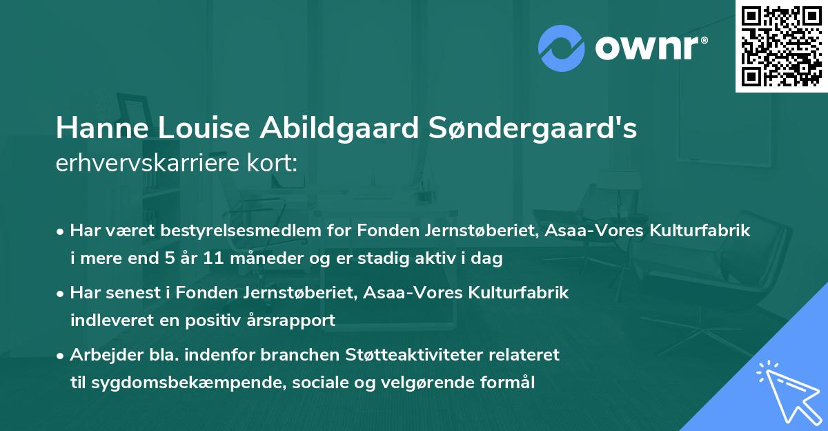 Hanne Louise Abildgaard Søndergaard's erhvervskarriere kort