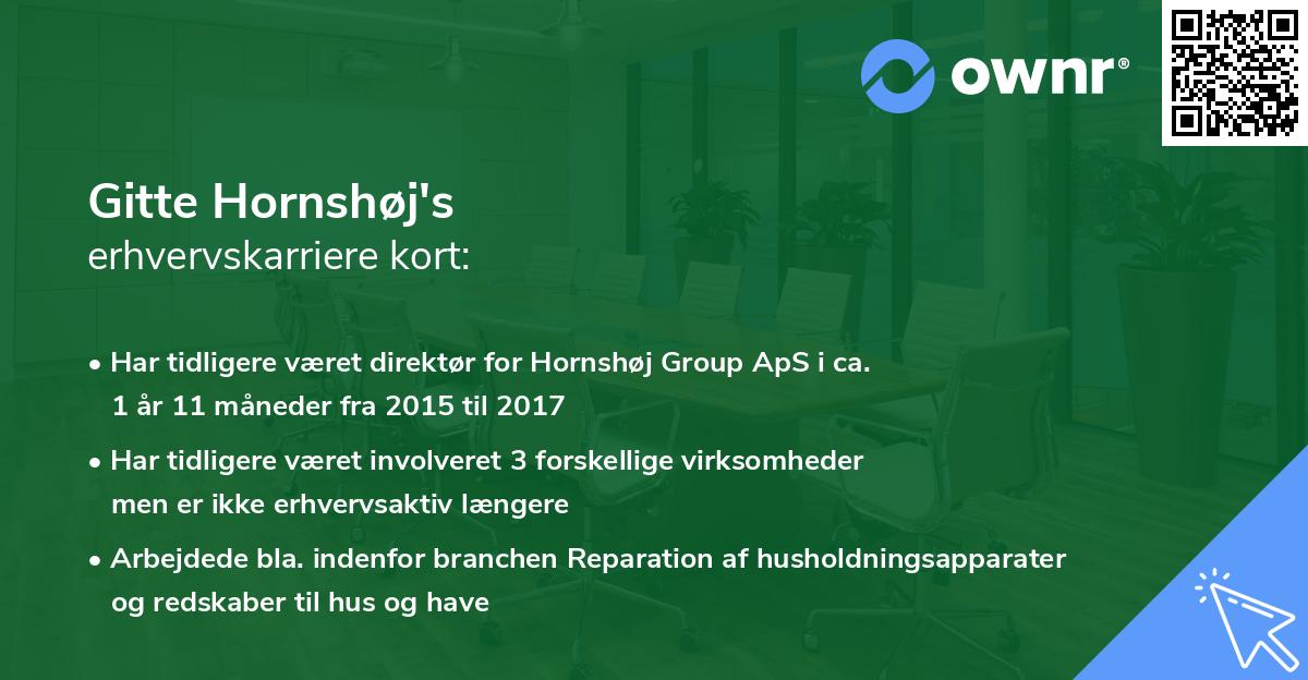 Gitte Hornshøj's erhvervskarriere kort