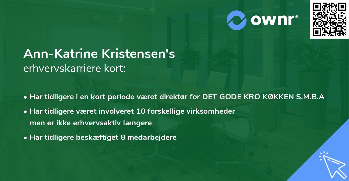Ann-Katrine Kristensen's erhvervskarriere kort