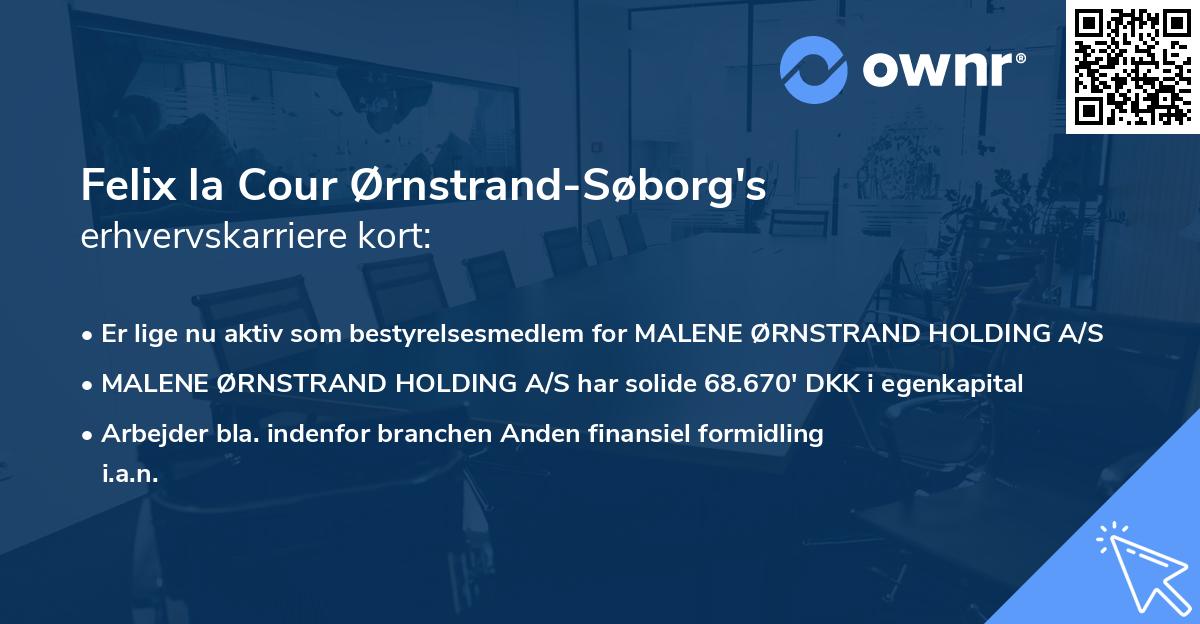 Felix la Cour Ørnstrand-Søborg's erhvervskarriere kort