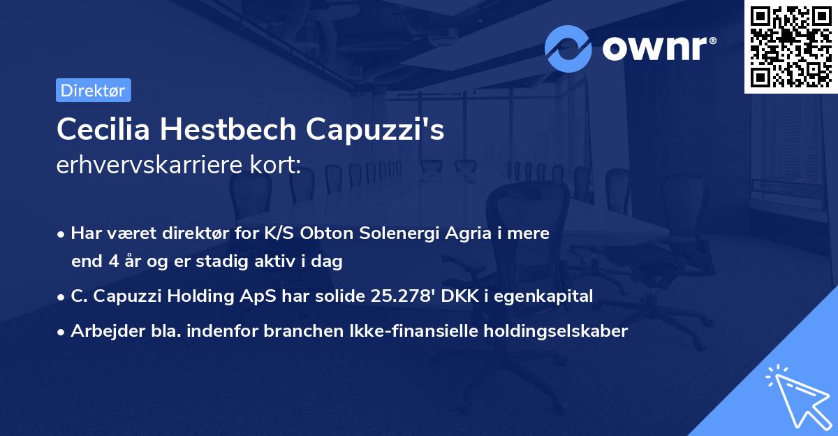 Cecilia Hestbech Capuzzi's erhvervskarriere kort
