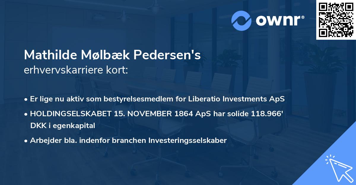 Mathilde Mølbæk Pedersen's erhvervskarriere kort