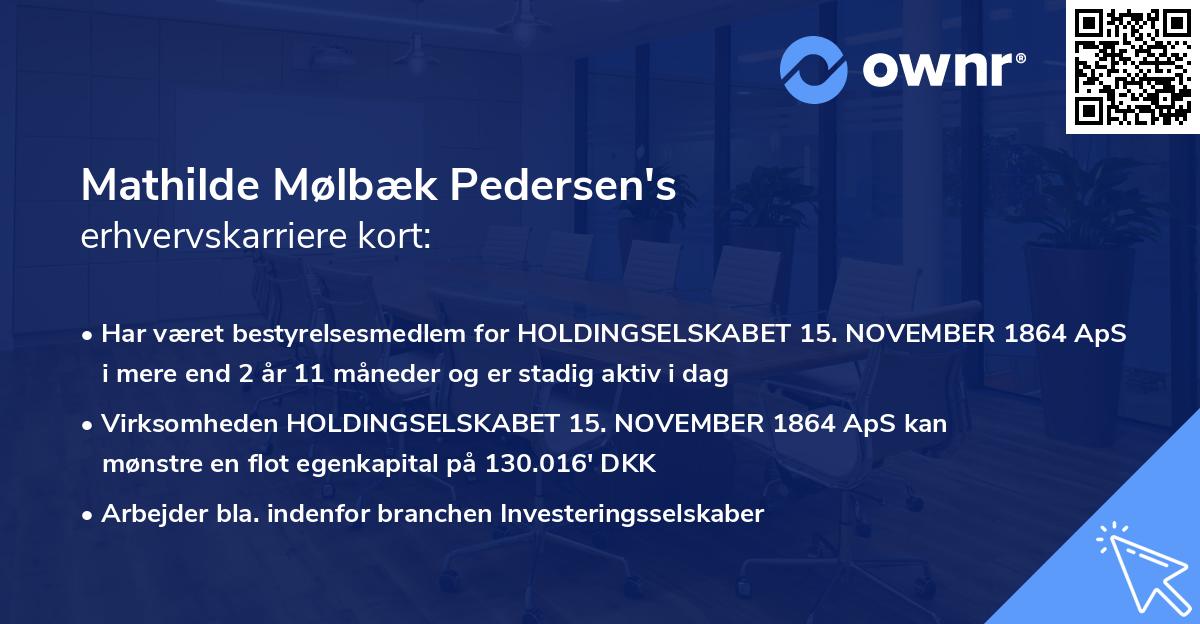 Mathilde Mølbæk Pedersen's erhvervskarriere kort