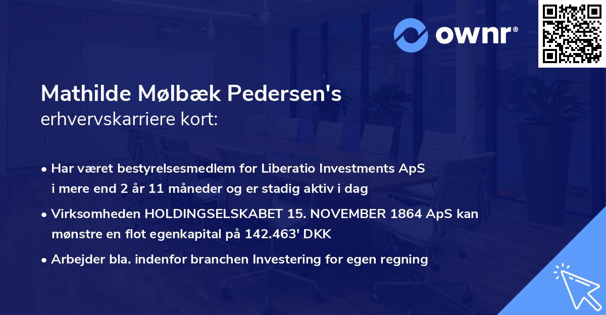 Mathilde Mølbæk Pedersen's erhvervskarriere kort