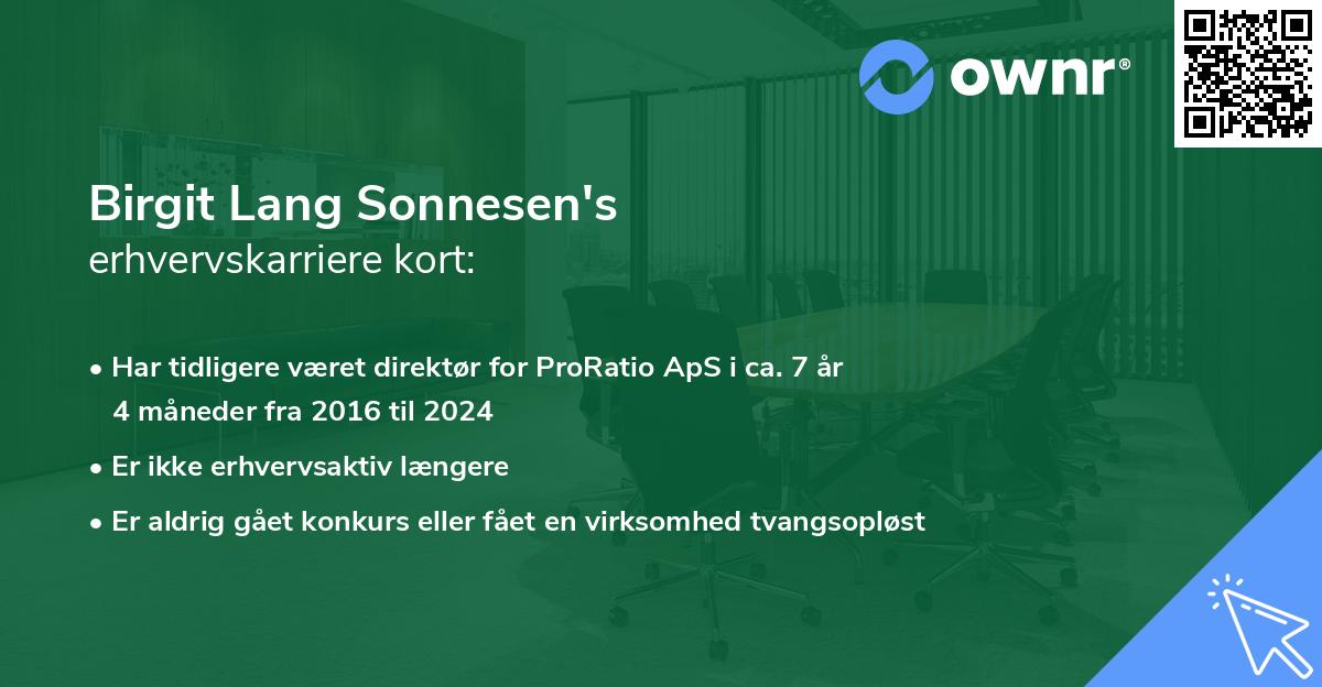 Birgit Lang Sonnesen's erhvervskarriere kort