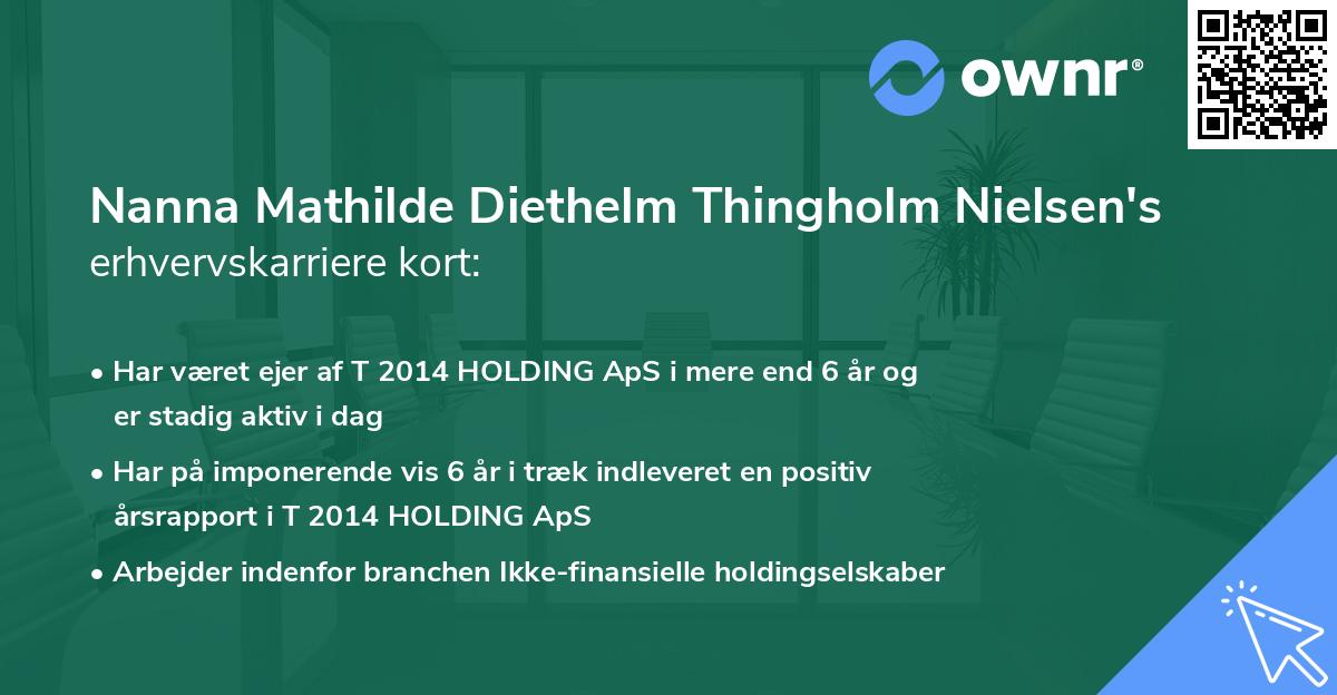 Nanna Mathilde Diethelm Thingholm Nielsen's erhvervskarriere kort