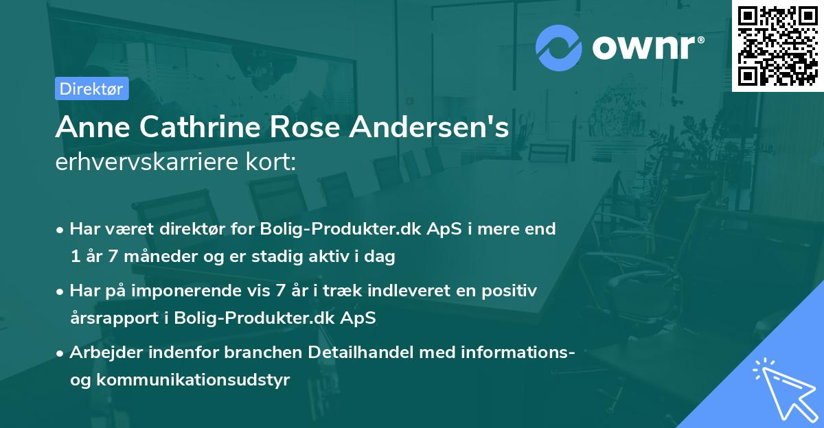 Anne Cathrine Rose Andersen's erhvervskarriere kort