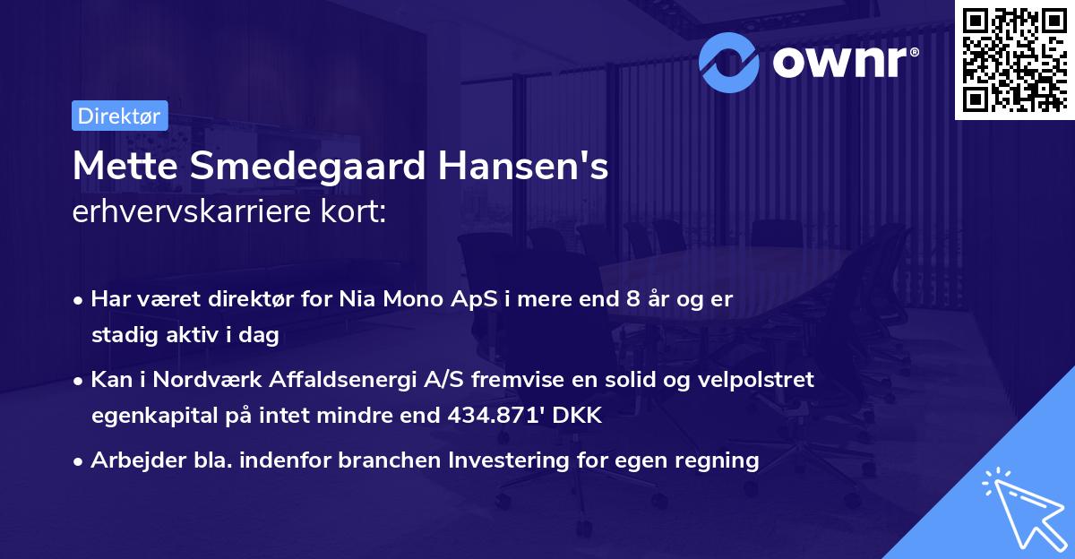 Mette Smedegaard Hansen's erhvervskarriere kort