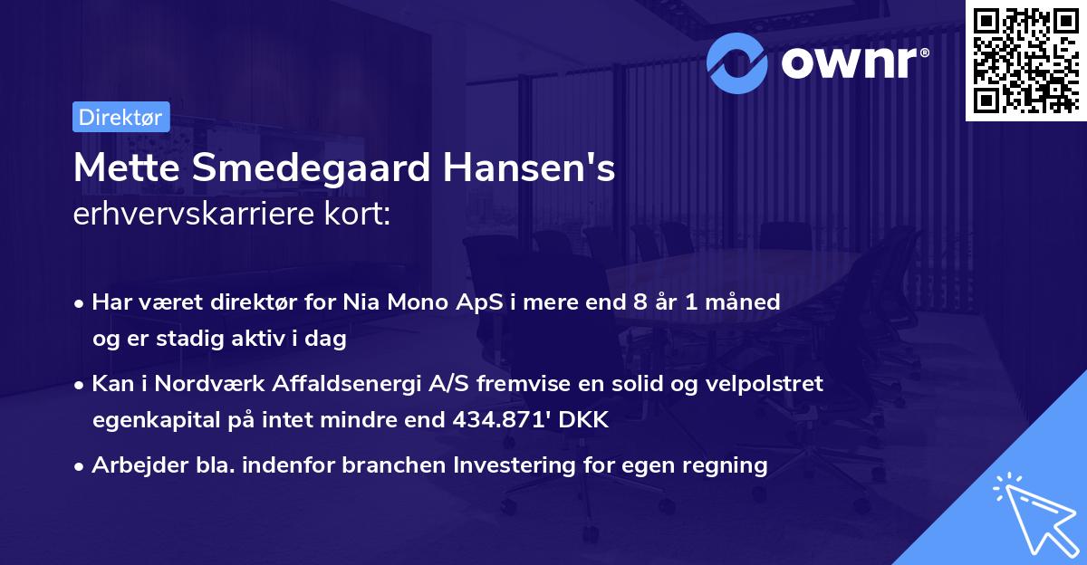 Mette Smedegaard Hansen's erhvervskarriere kort