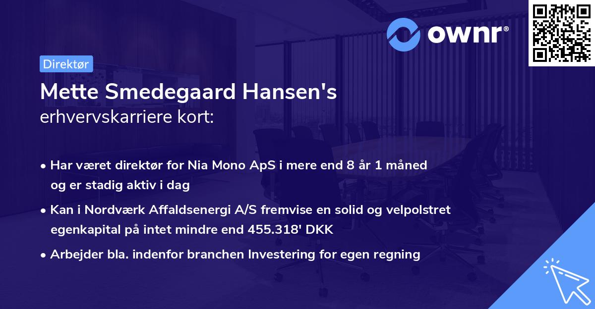 Mette Smedegaard Hansen's erhvervskarriere kort