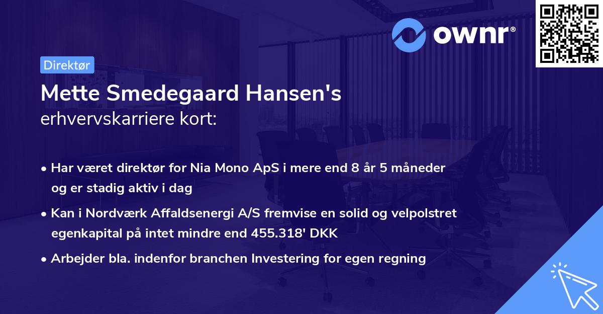 Mette Smedegaard Hansen's erhvervskarriere kort