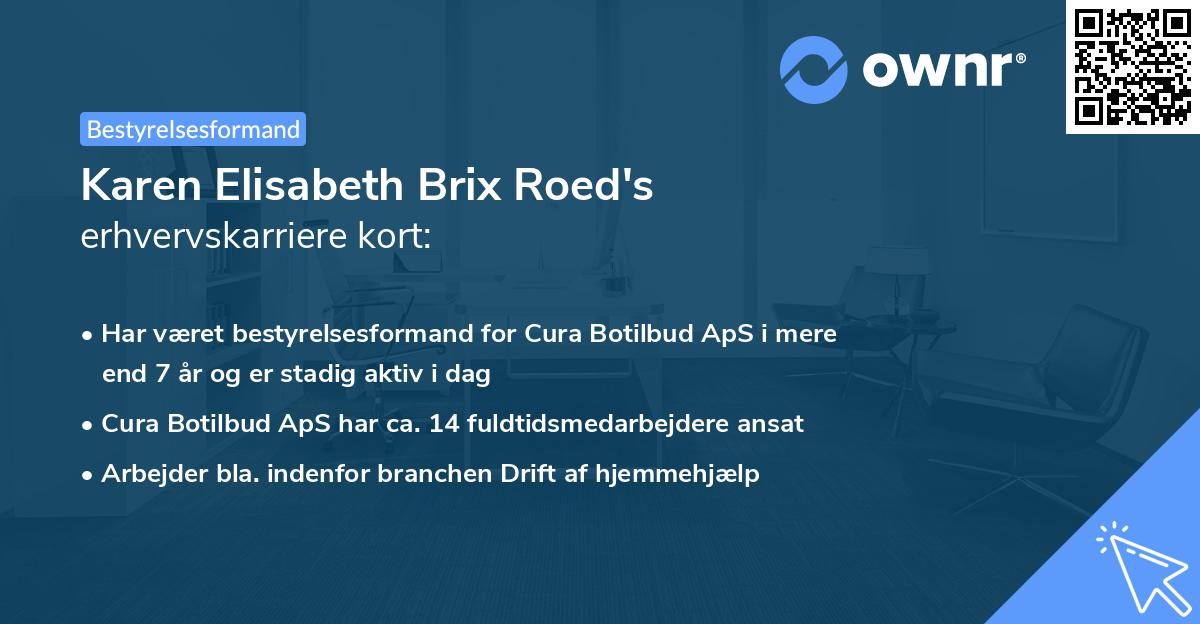 Karen Elisabeth Brix Roed's erhvervskarriere kort