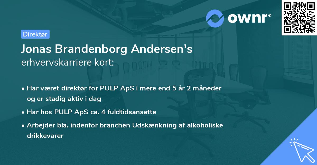Jonas Brandenborg Andersen's erhvervskarriere kort