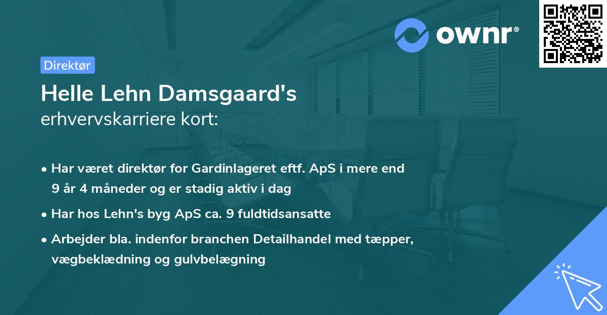 Helle Lehn Damsgaard's erhvervskarriere kort