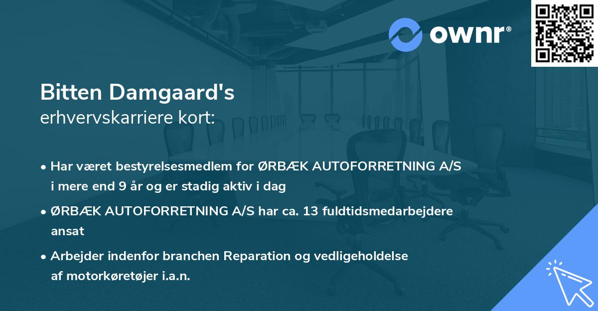 Bitten Damgaard's erhvervskarriere kort