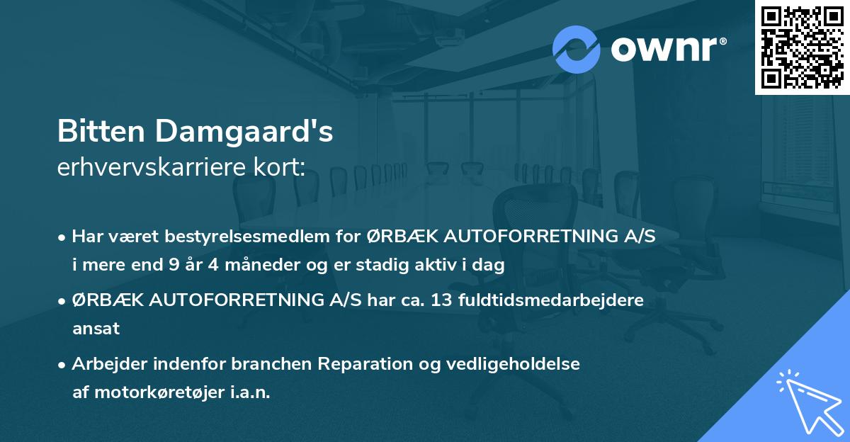 Bitten Damgaard's erhvervskarriere kort