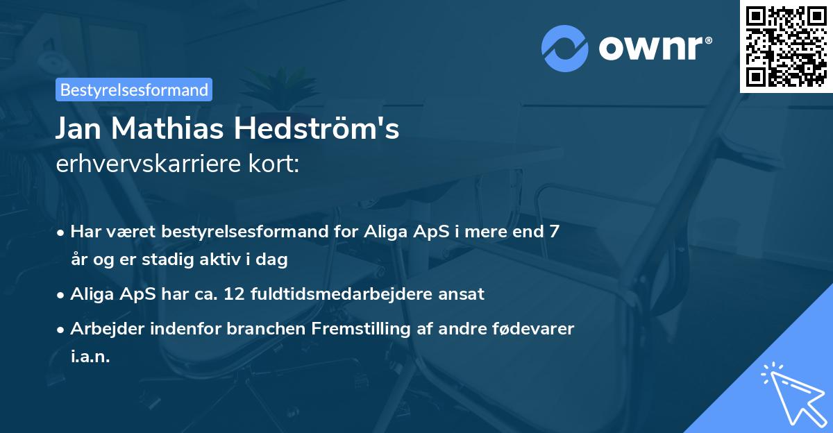 Jan Mathias Hedström's erhvervskarriere kort