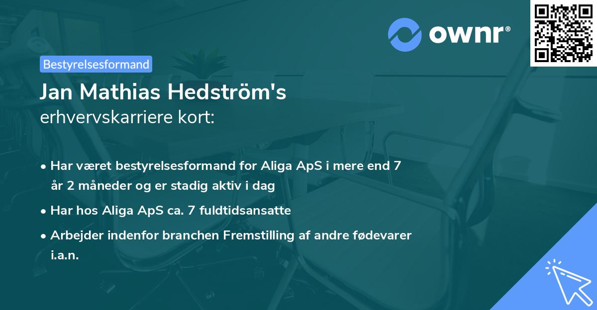 Jan Mathias Hedström's erhvervskarriere kort