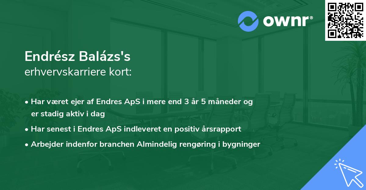 Endrész Balázs's erhvervskarriere kort
