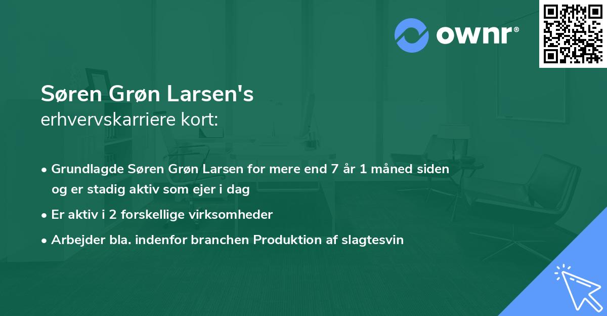Søren Grøn Larsen's erhvervskarriere kort