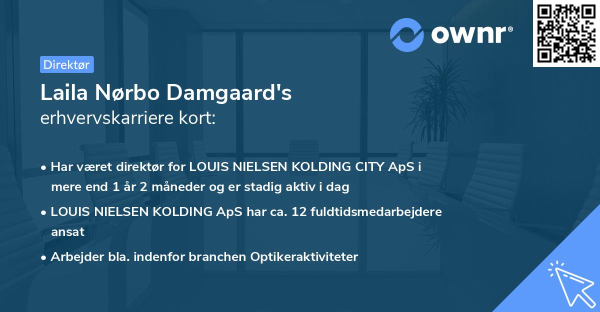 Laila Nørbo Damgaard's erhvervskarriere kort