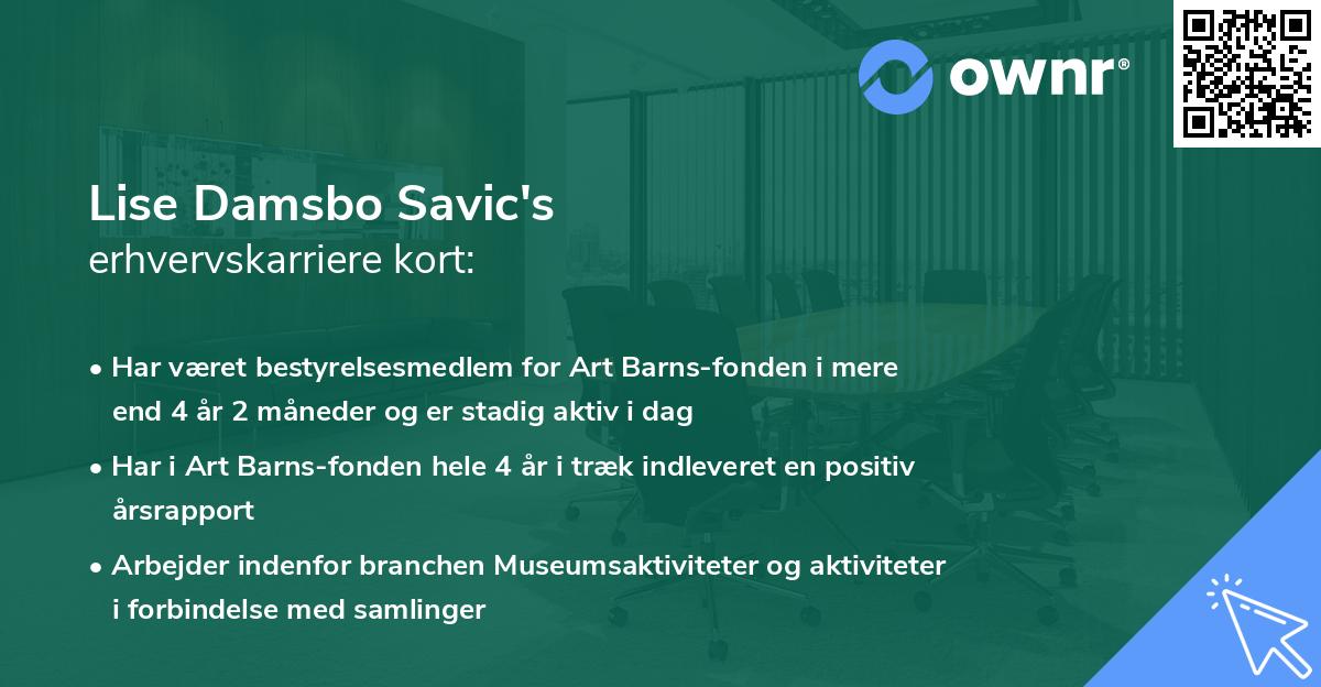 Lise Damsbo Savic's erhvervskarriere kort