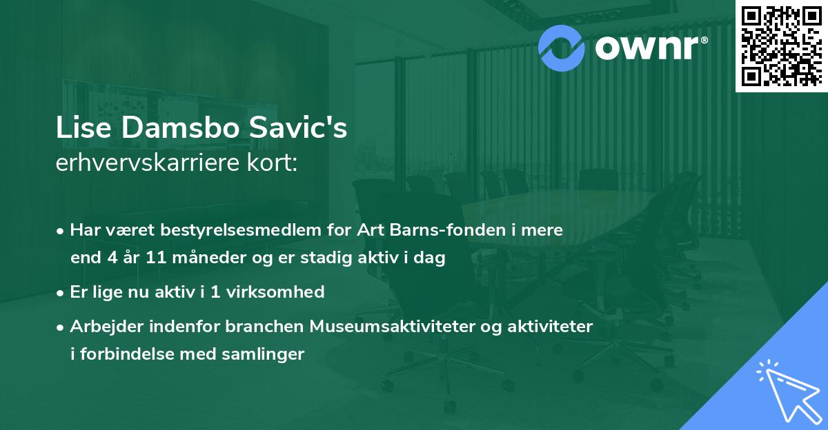 Lise Damsbo Savic's erhvervskarriere kort