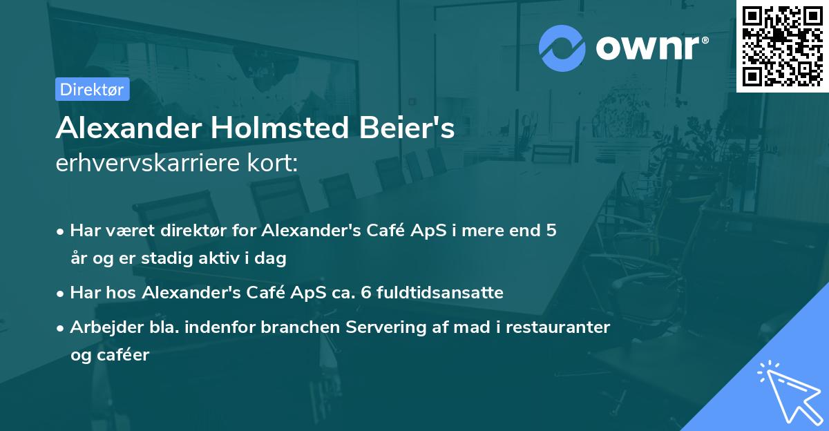 Alexander Holmsted Beier's erhvervskarriere kort