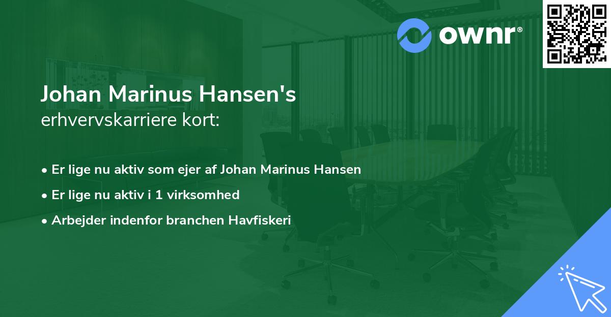 Johan Marinus Hansen's erhvervskarriere kort