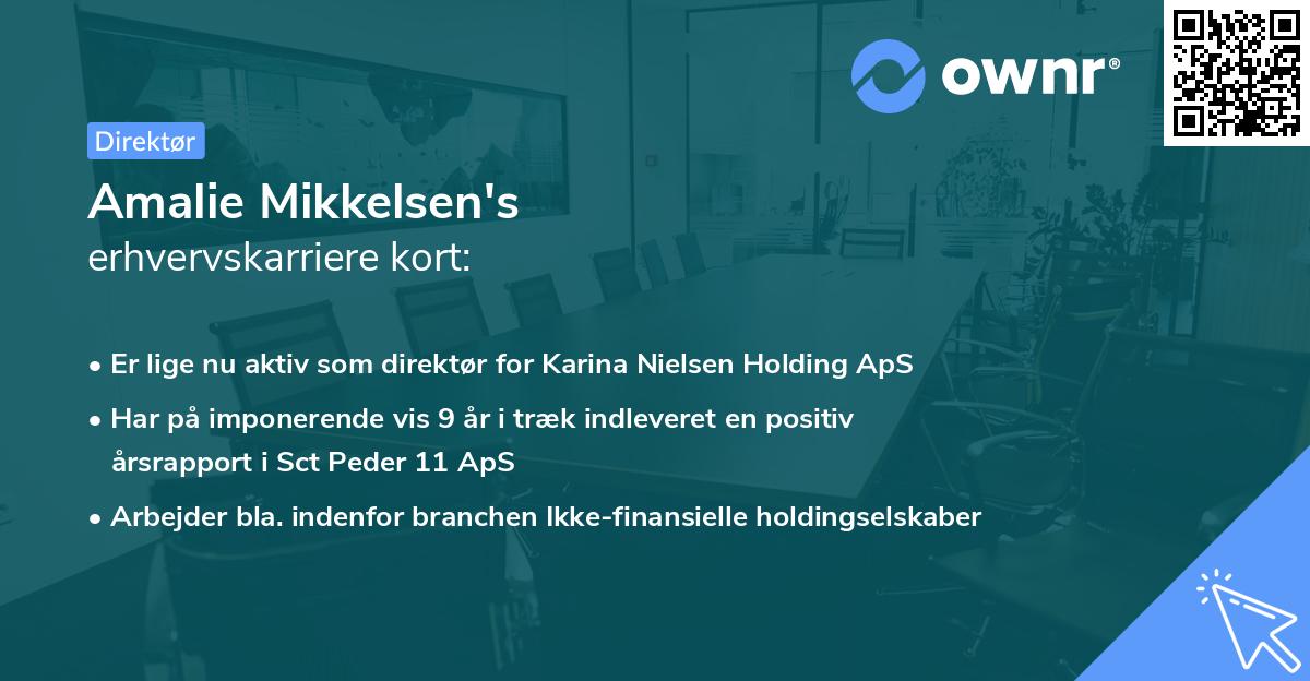 Amalie Mikkelsen's erhvervskarriere kort