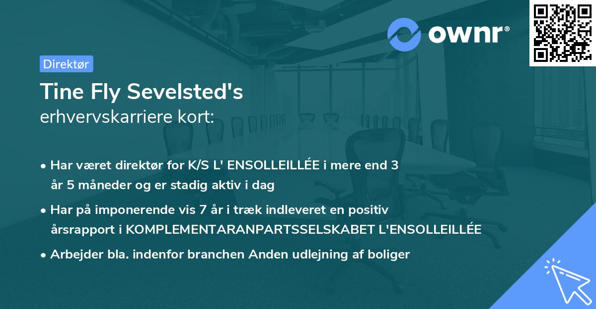 Tine Fly Sevelsted's erhvervskarriere kort
