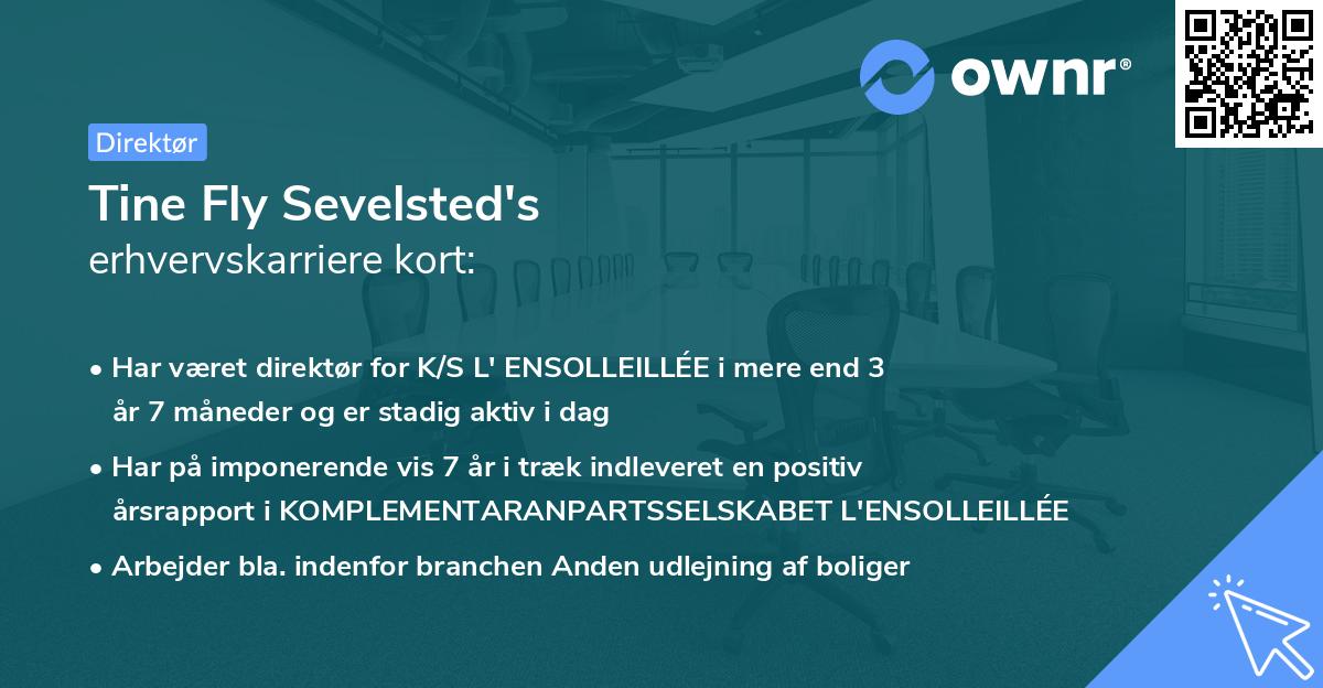 Tine Fly Sevelsted's erhvervskarriere kort