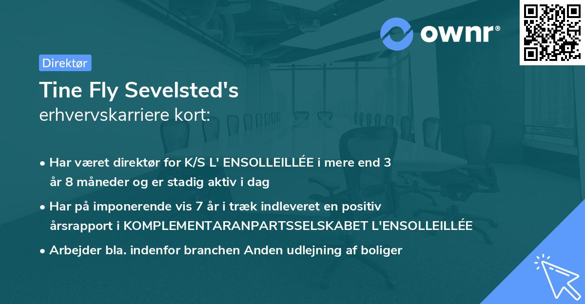 Tine Fly Sevelsted's erhvervskarriere kort