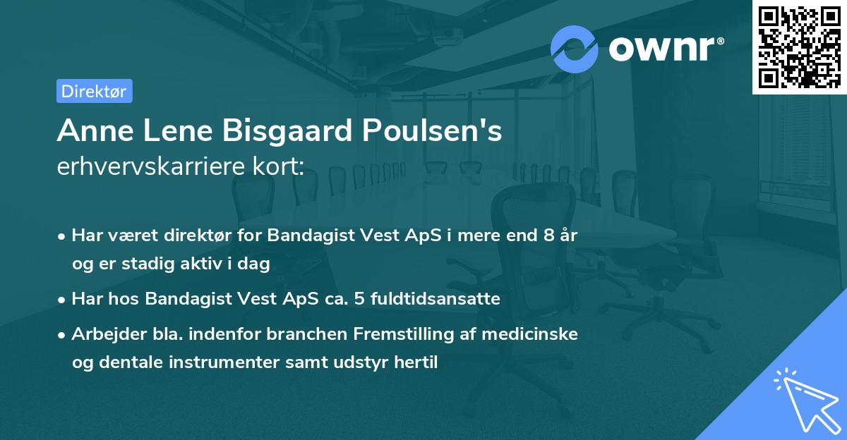 Anne Lene Bisgaard Poulsen's erhvervskarriere kort