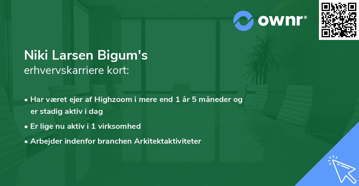 Niki Larsen Bigum's erhvervskarriere kort
