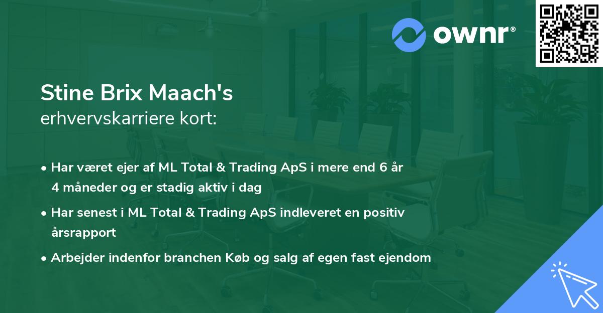 Stine Brix Maach's erhvervskarriere kort