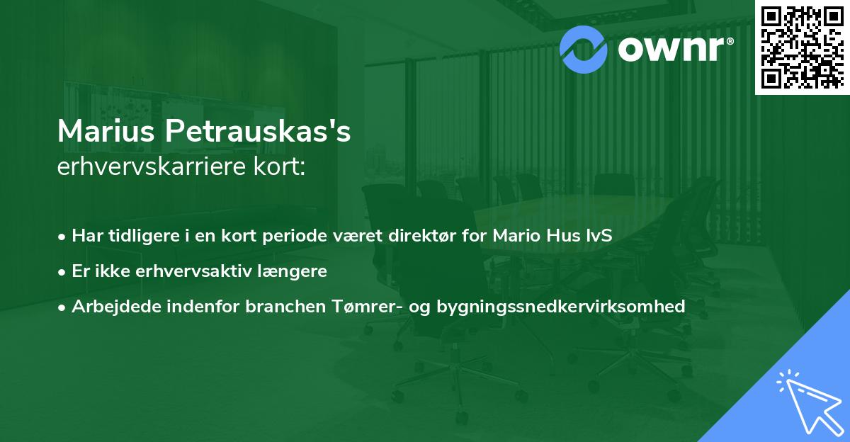 Marius Petrauskas's erhvervskarriere kort