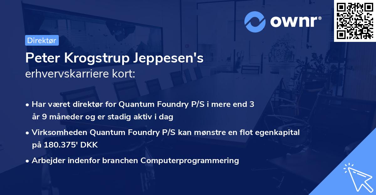 Peter Krogstrup Jeppesen's erhvervskarriere kort